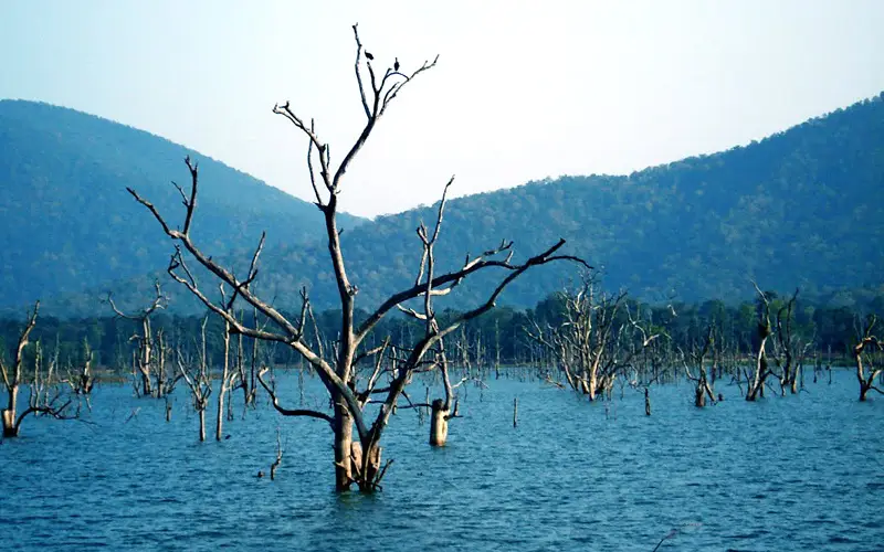 Bilaspur